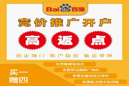 案例研究：信息流广告投放优化